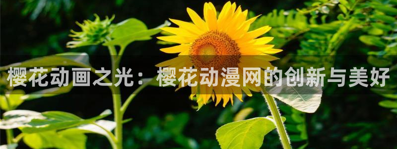 最新的里番动漫：樱花动画之光：樱花动漫网的创新与美好