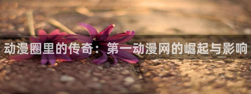 里番动漫伦理：动漫圈里的传奇：第一动漫网的崛起与影响