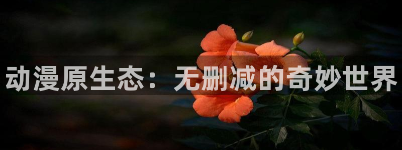 最经典的里番动漫：动漫原生态：无删减的奇妙世界