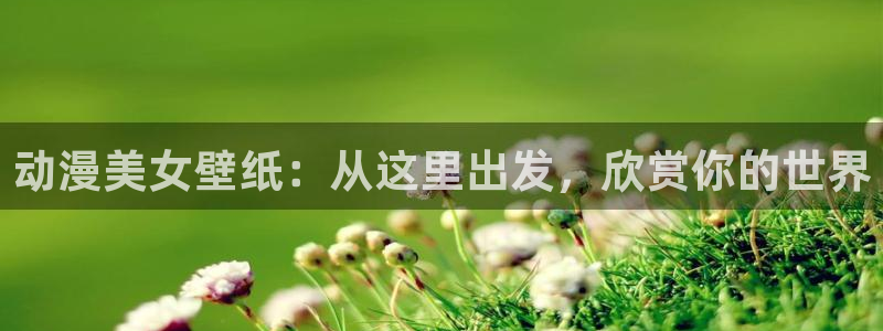 bl里番动漫：动漫美女壁纸：从这里出发，欣赏你的世界