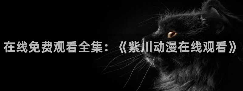 2021里番动漫：在线免费观看全集：《紫川动漫在线观看》